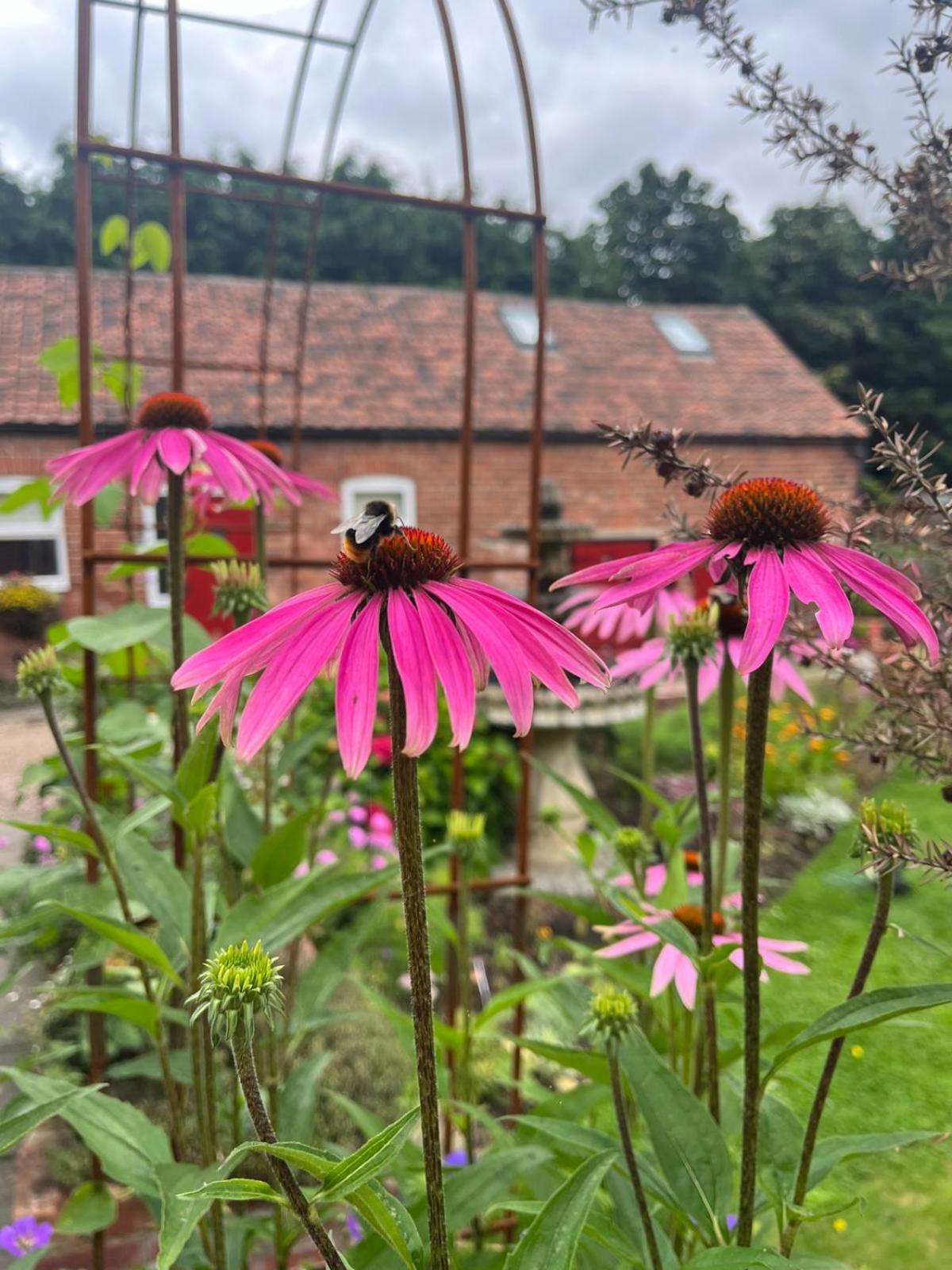 Home Farm & Lodge بوتري المظهر الخارجي الصورة